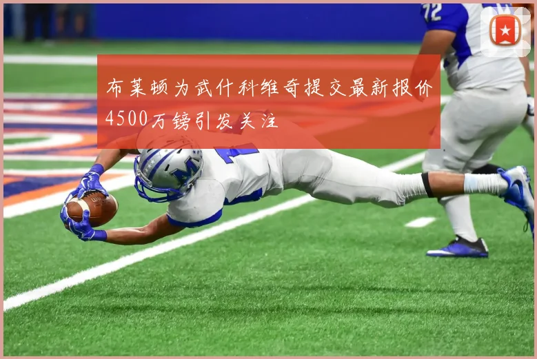 布莱顿为武什科维奇提交最新报价4500万镑引发关注